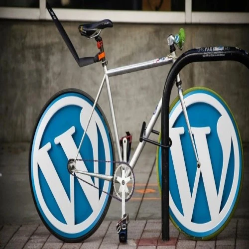WordPress Webdesign Ewijk